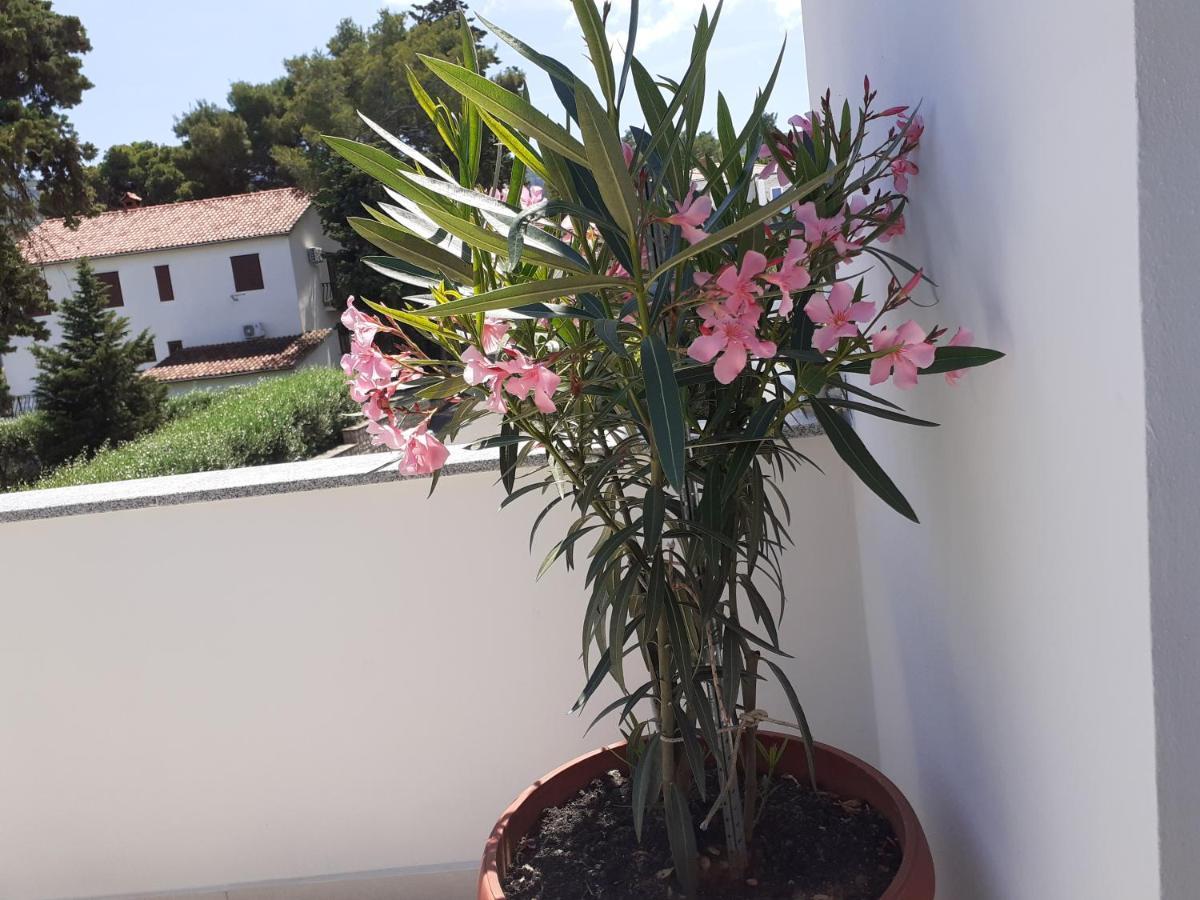 Apartmani Miletic Jelsa (Hvar) Exterior foto